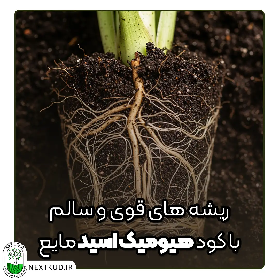 کود هیومیک اسید مایع