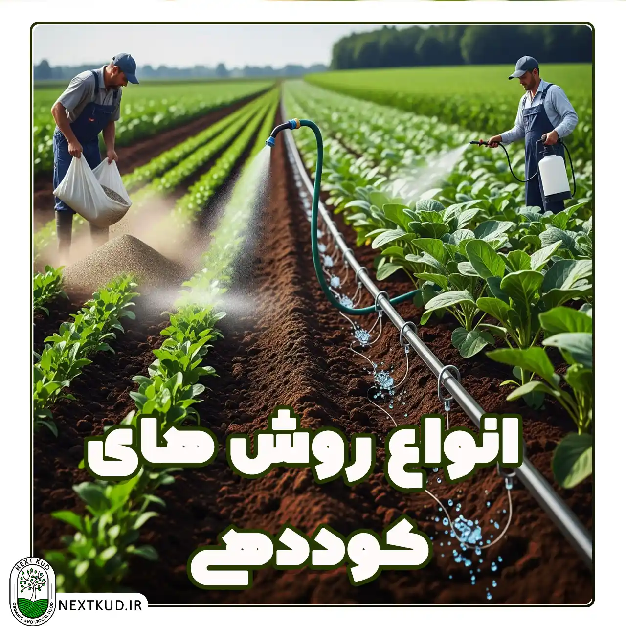 انواع روش های کوددهی