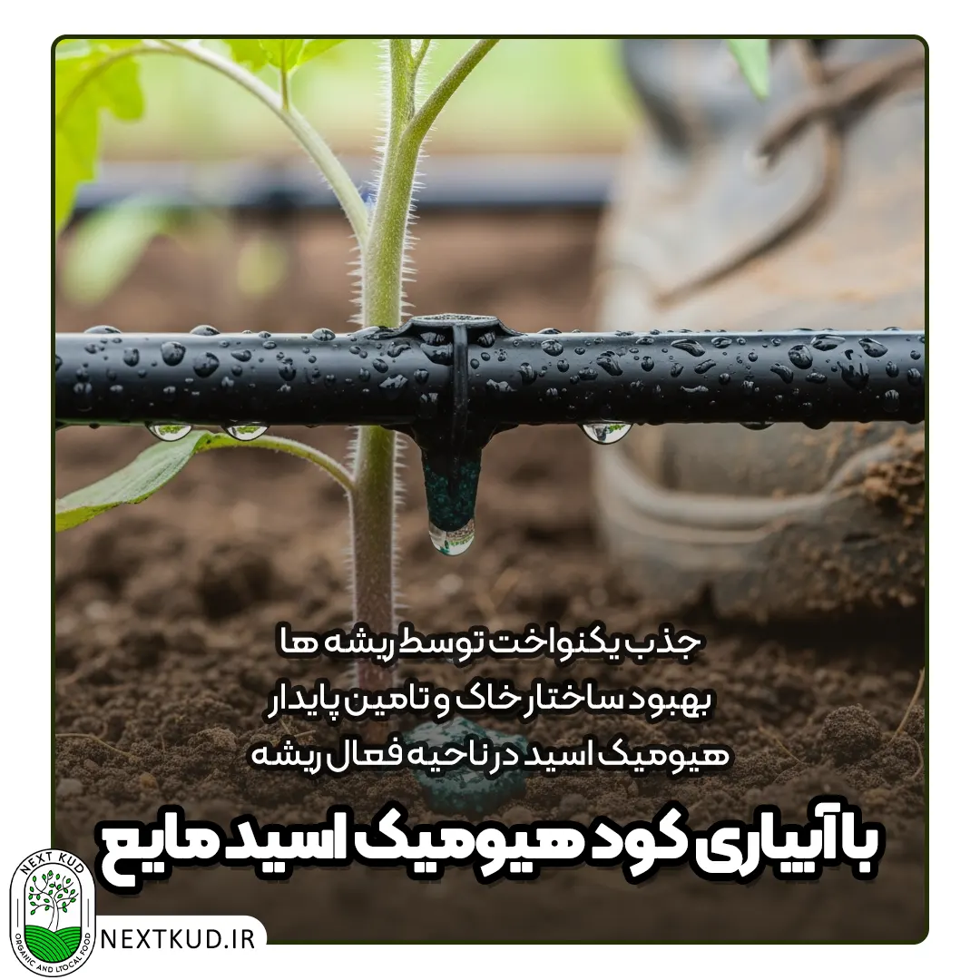 آبیاری کود هیومیک اسید مایع