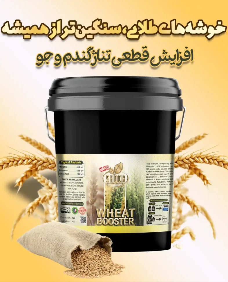 کود مخصوص گندم و جو