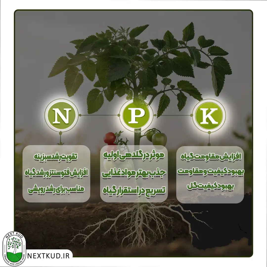 عناصر NPK