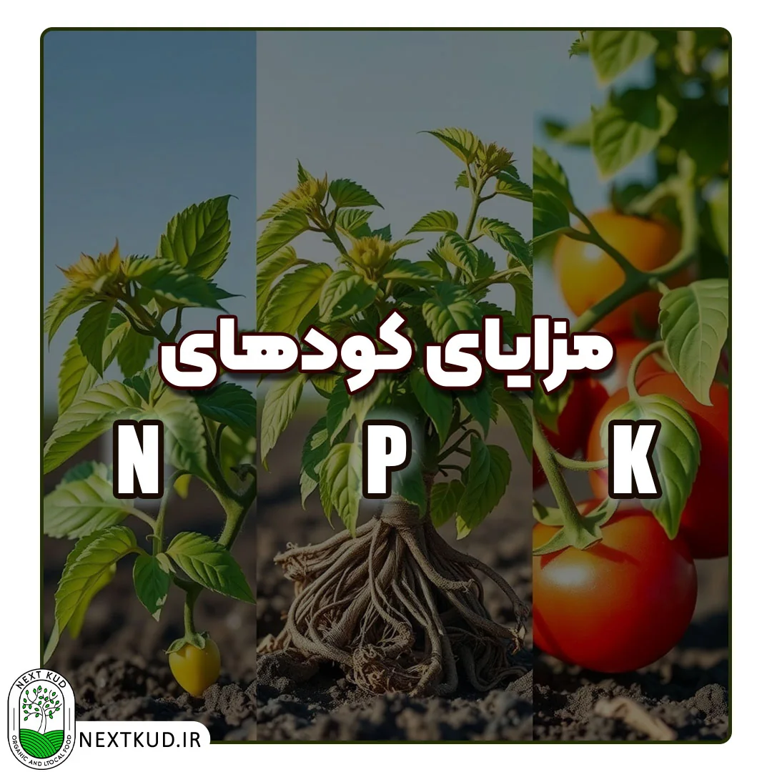 مزایای کودهای NPK